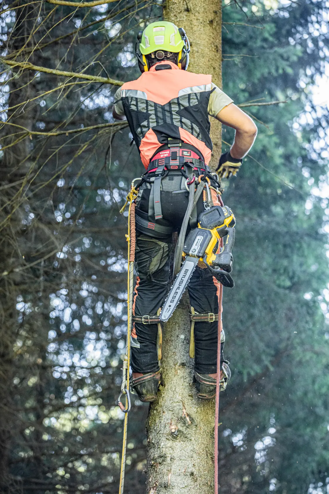 54V XR FLEXVOLT felső fogantyús láncfűrész - csak szerszám