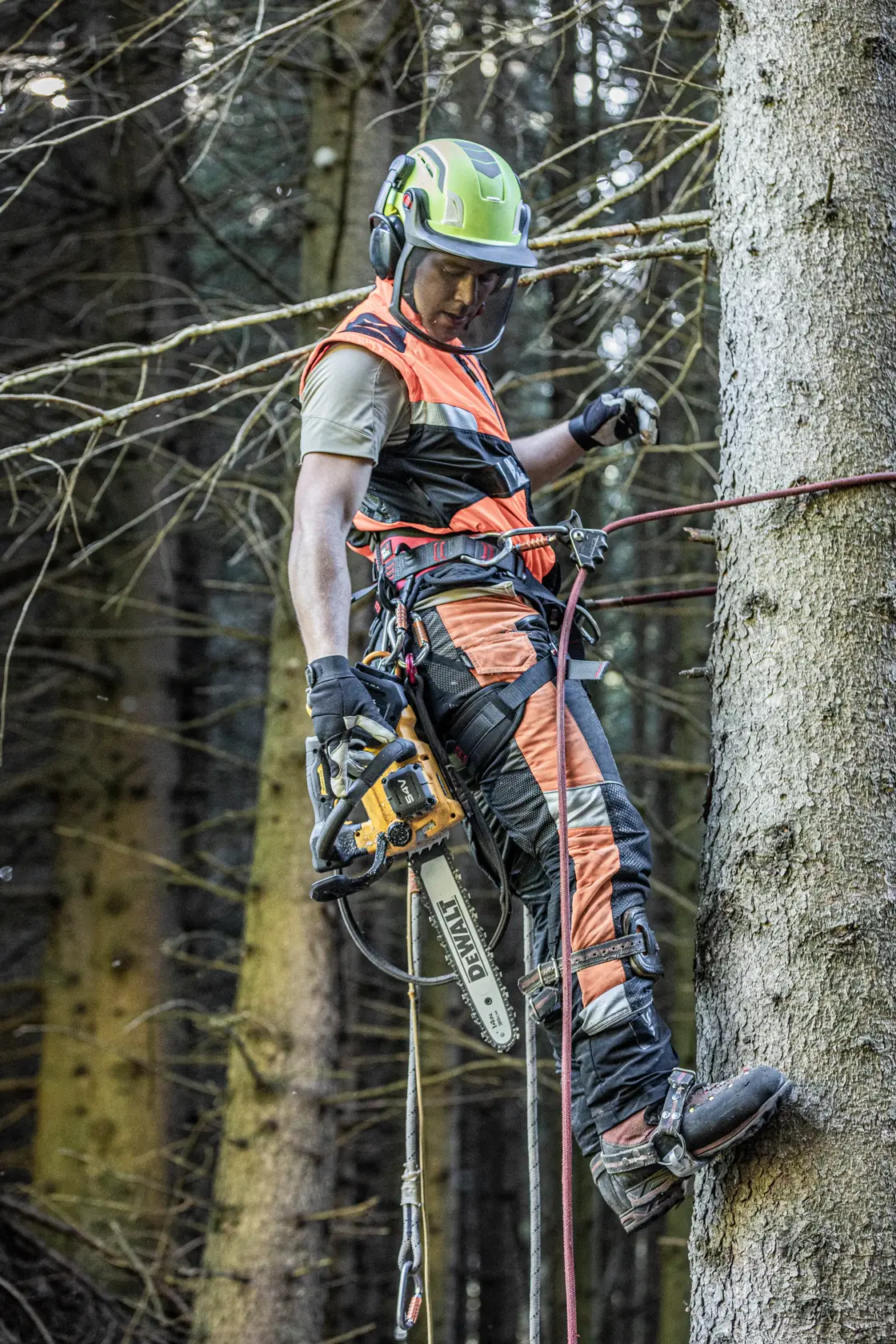 54V XR FLEXVOLT felső fogantyús láncfűrész - 1 db 9Ah
